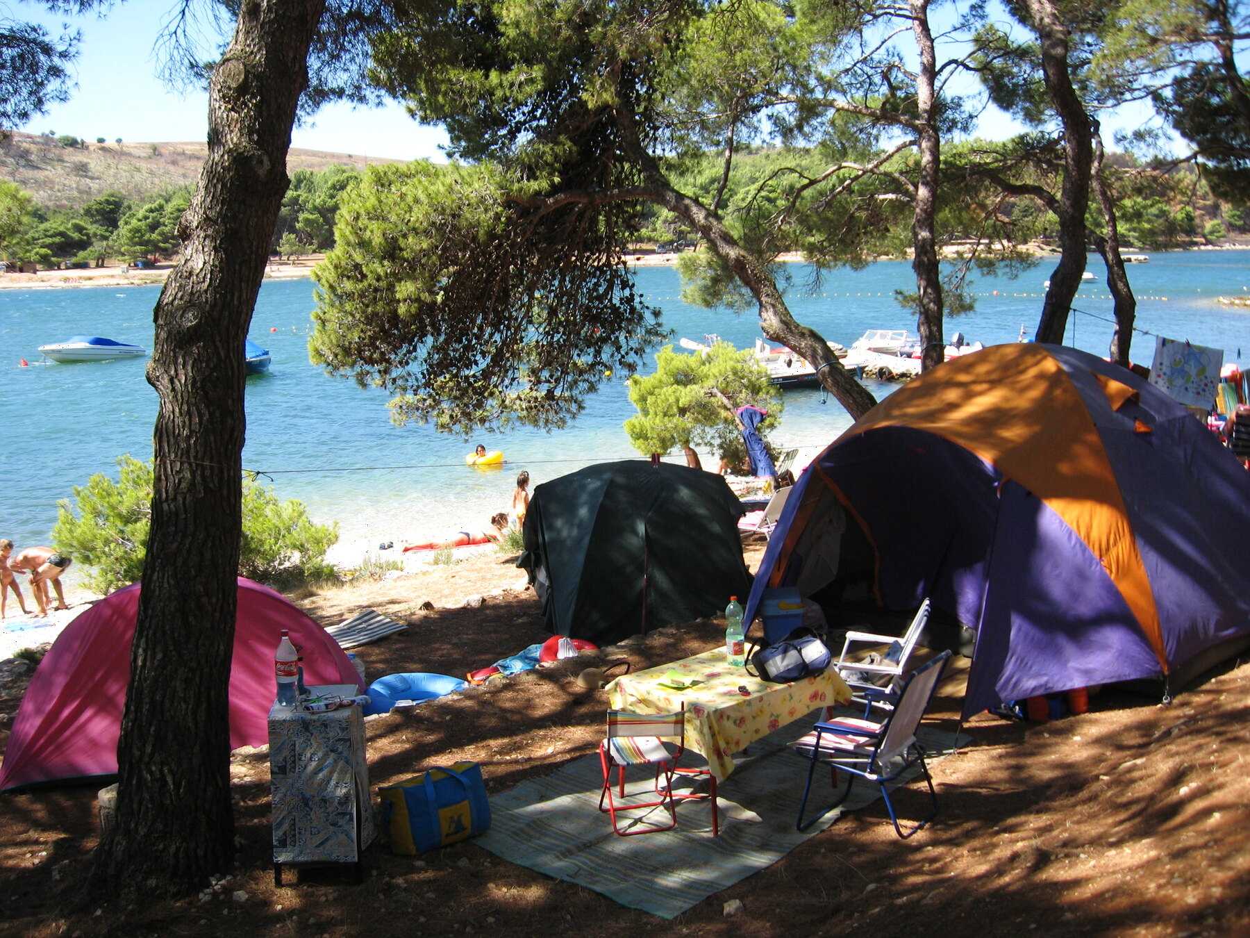 Tentes installées sous les pins, à quelques mètres de la mer, dans un camping de Pomer en Istrie