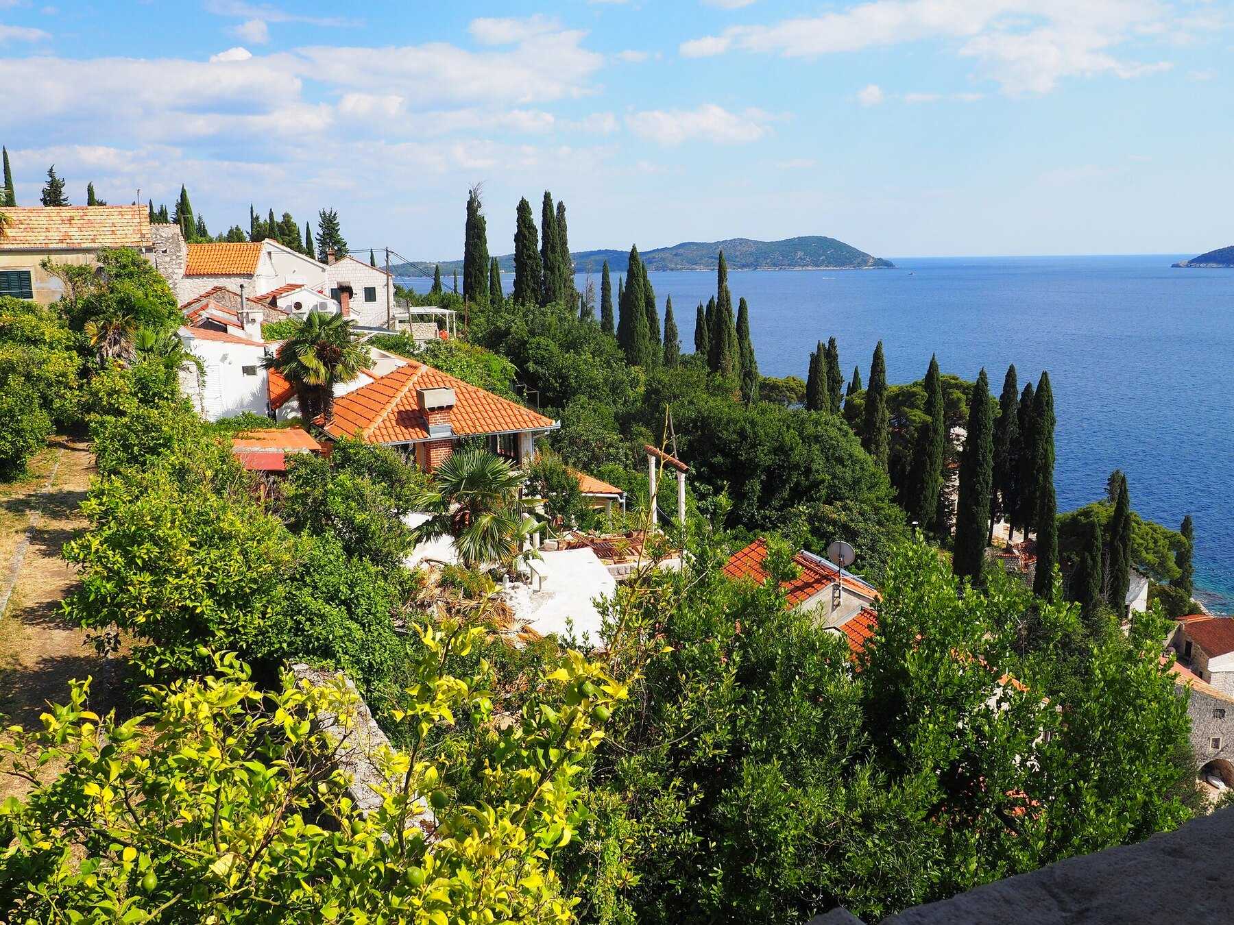 Les jardins de l'arboretum de Trsteno et leurs cyprès au-dessus de la mer