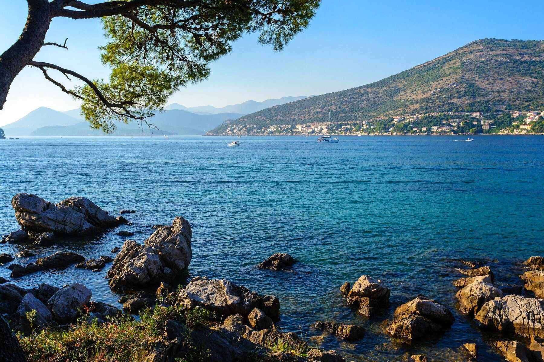 Rochers et pins de la presqu’île de Lapad