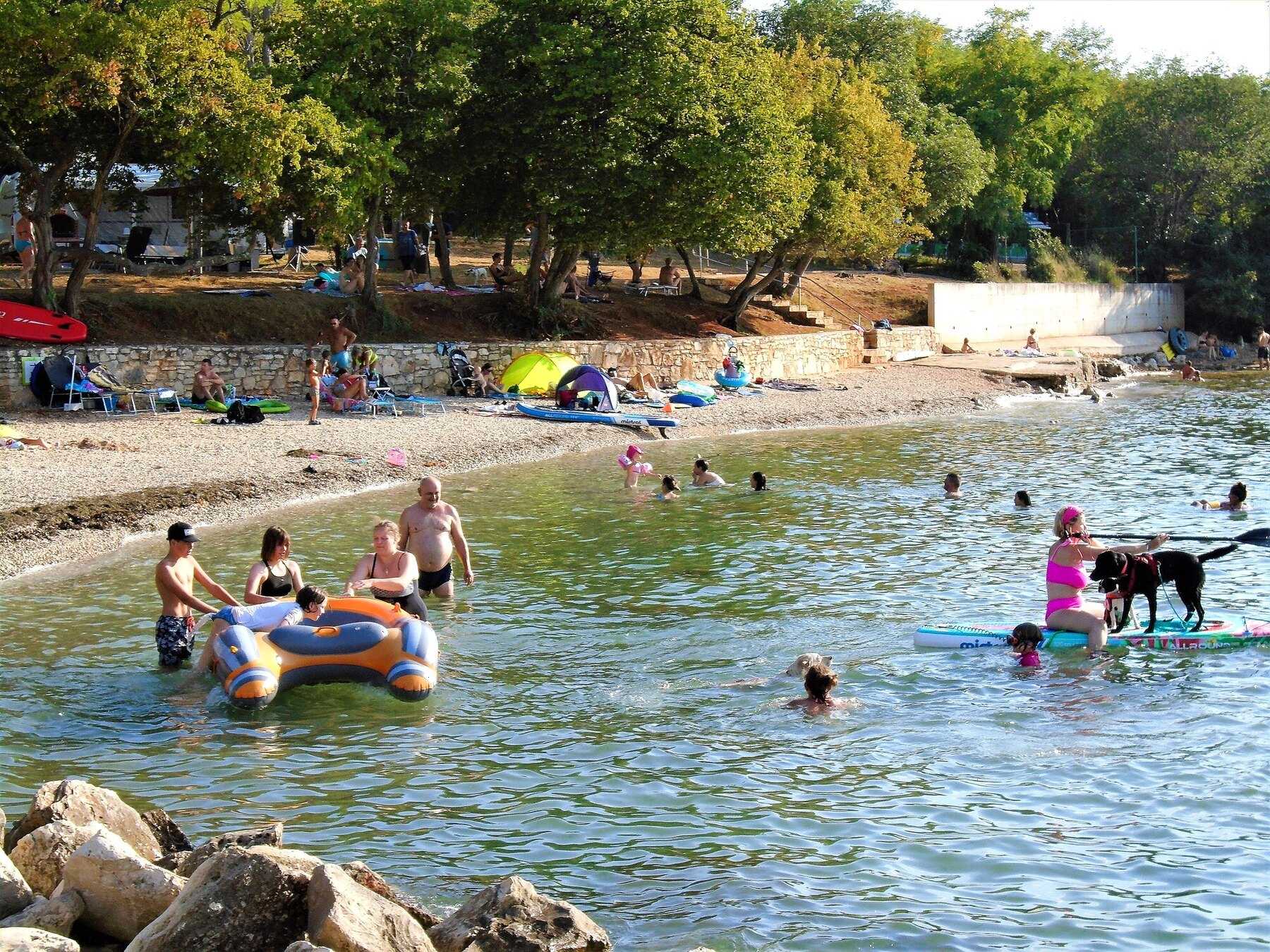 Baigneurs et chien dans l’eau sur la plage pour chiens de Mareda, près de Novigrad en Istrie