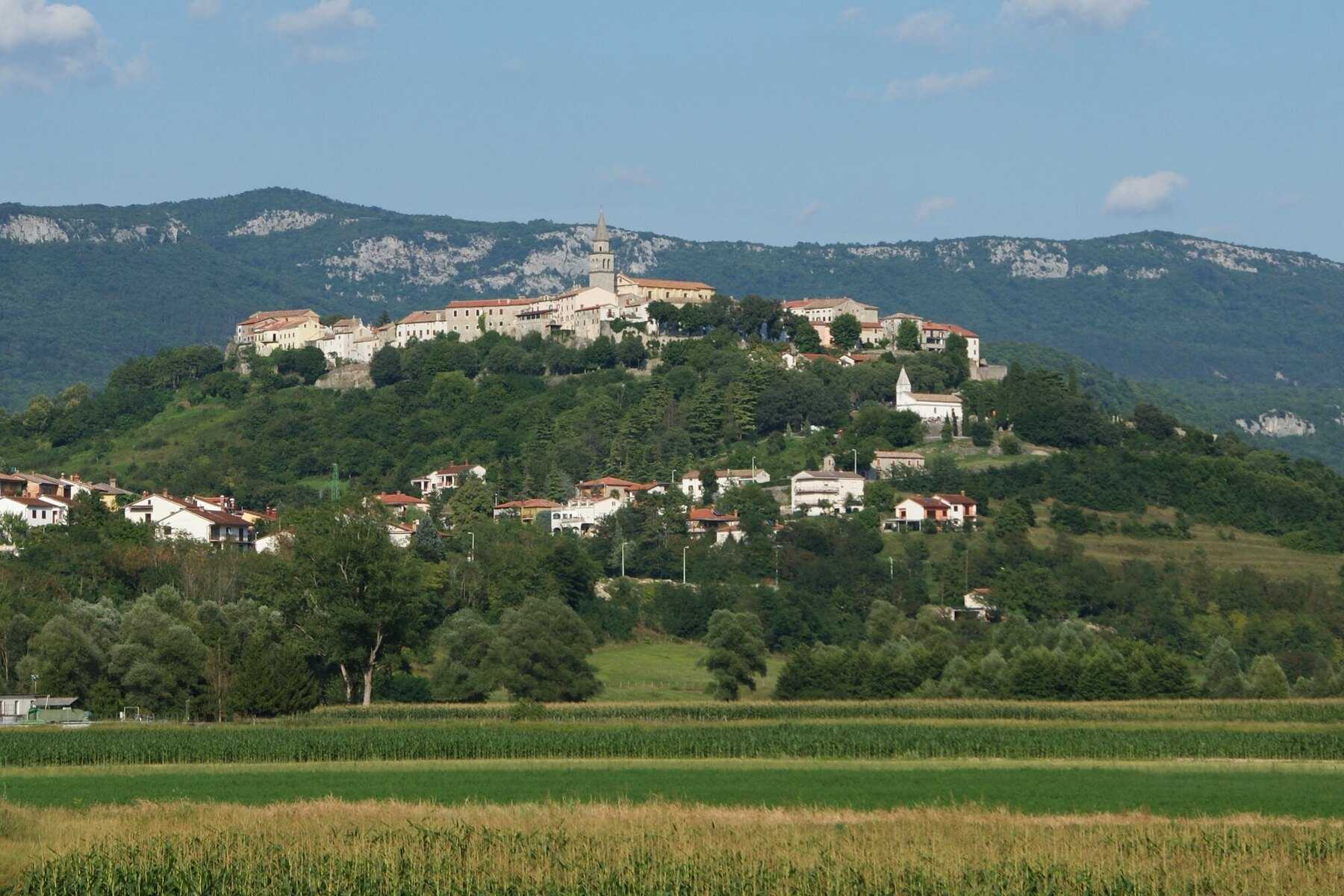 Buzet, vieille ville perchée sur sa colline au-dessus de la vallée de la Mirna