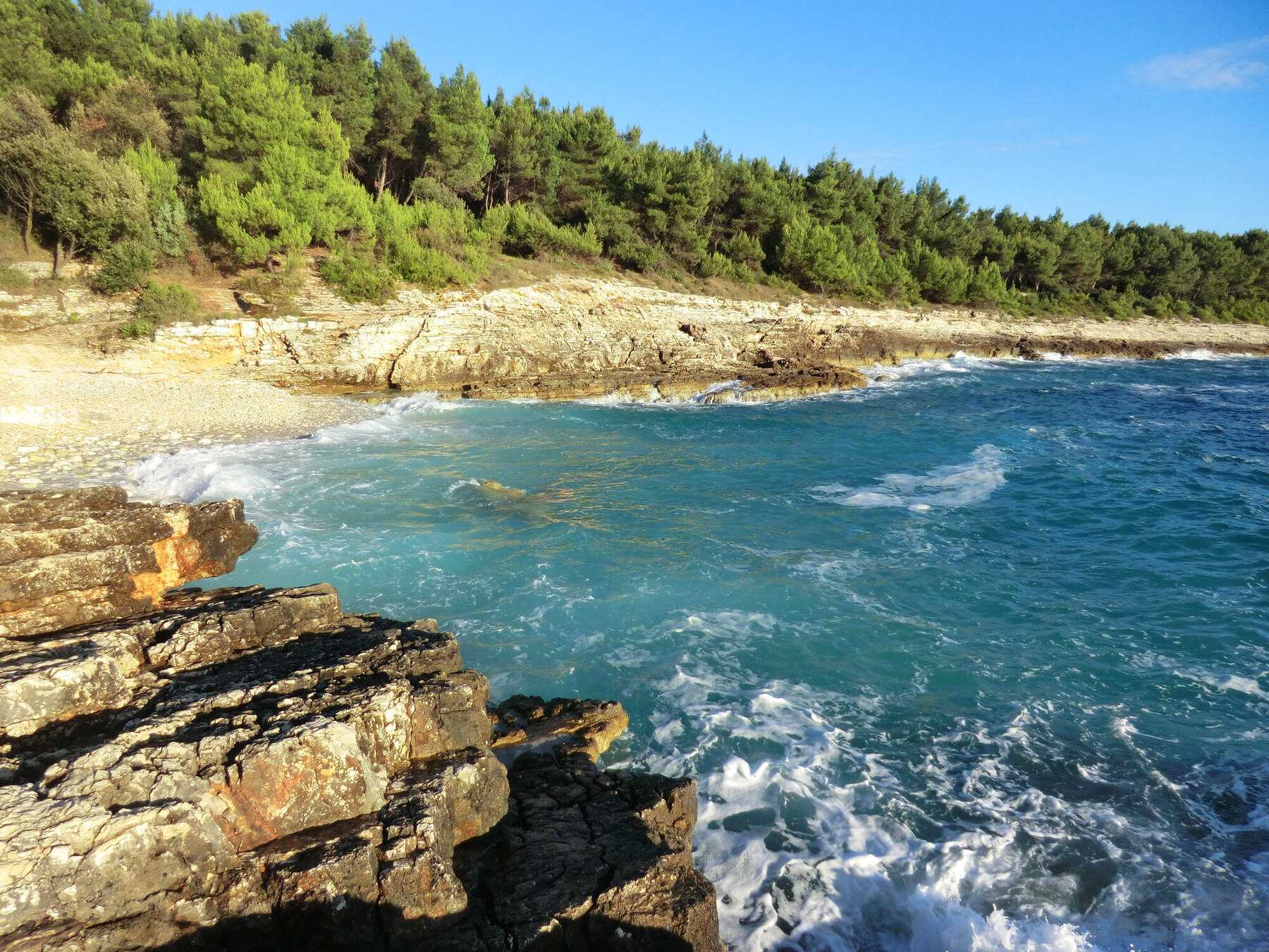 Rochers et vagues turquoise au bord d'une pinède, sur la côte du cap Kamenjak