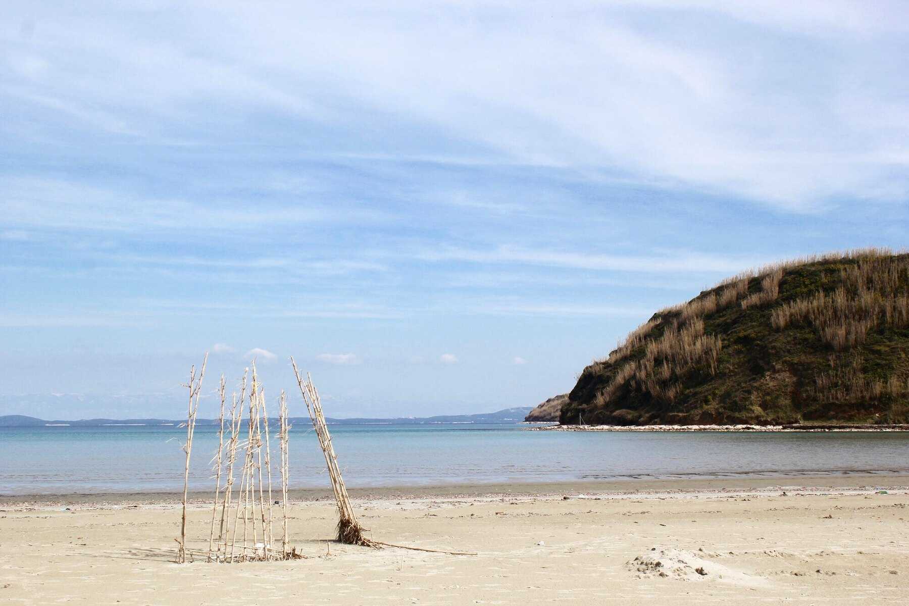 Plage de sable de Susak bordée de roseaux, en eau peu profonde