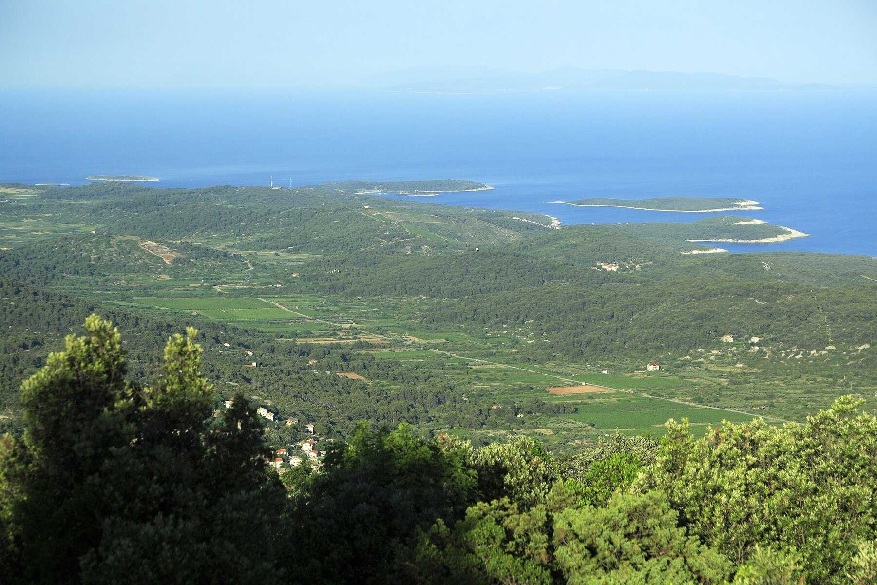 La plaine viticole de l'intérieur de Vis vue des hauteurs, jusqu'à la mer