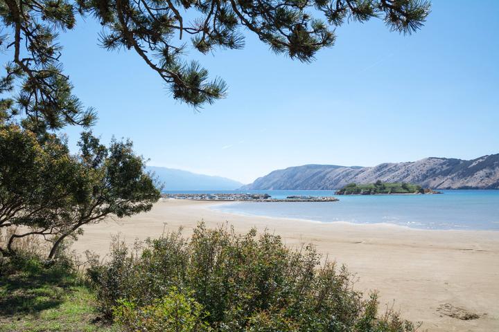 Rajska plaža à Lopar, sur l'île de Rab : une longue plage de sable clair presque déserte, sous les pins, face à un îlot