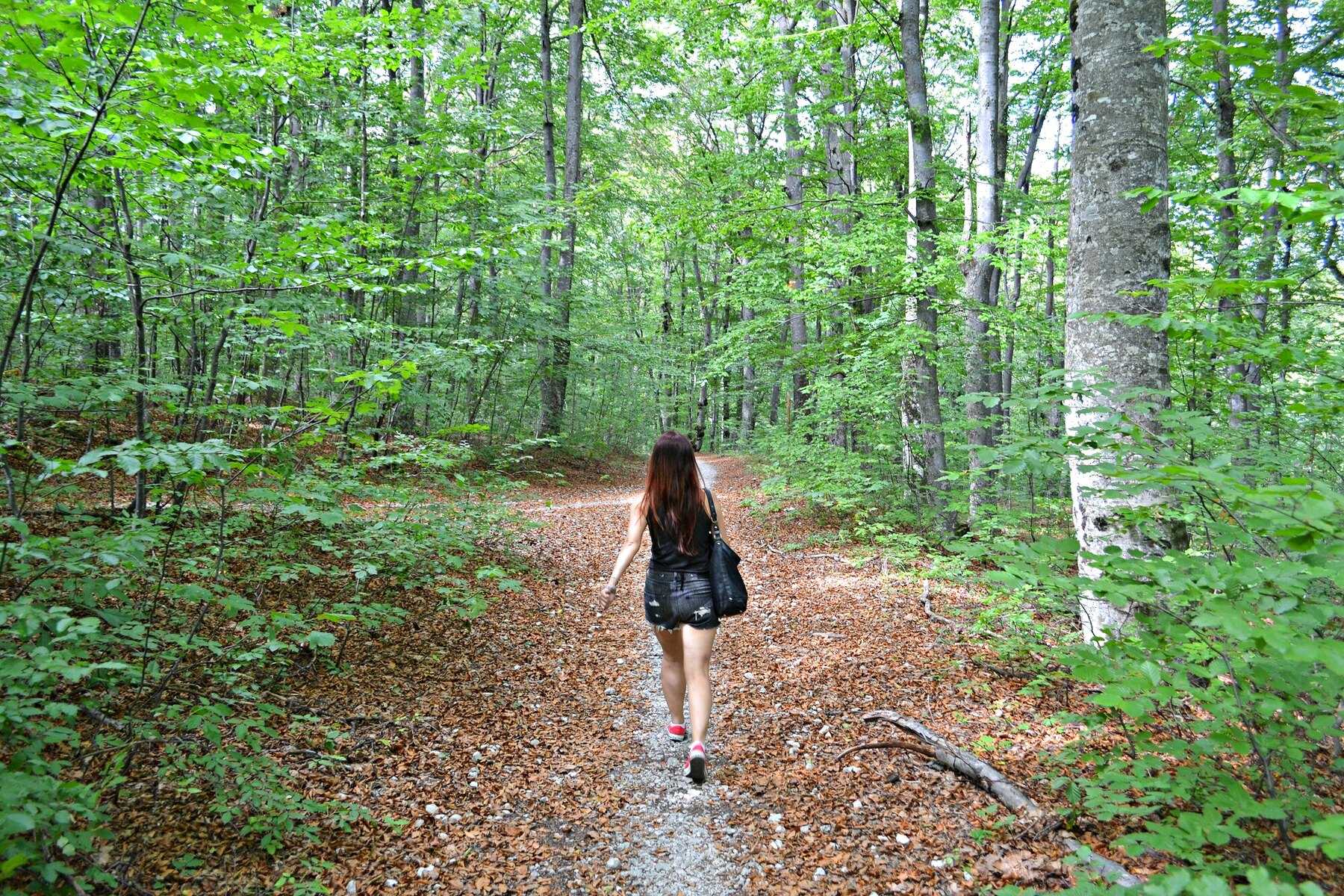 Randonneuse sur un sentier en forêt de hêtres dans le parc national de Plitvice