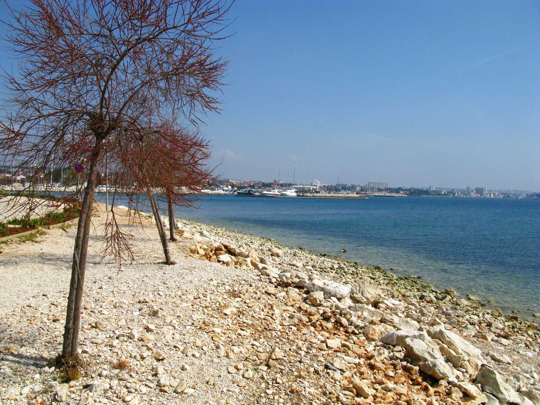 Rivage de galets et d'arbres de la baie de Borik, au nord-ouest de Zadar