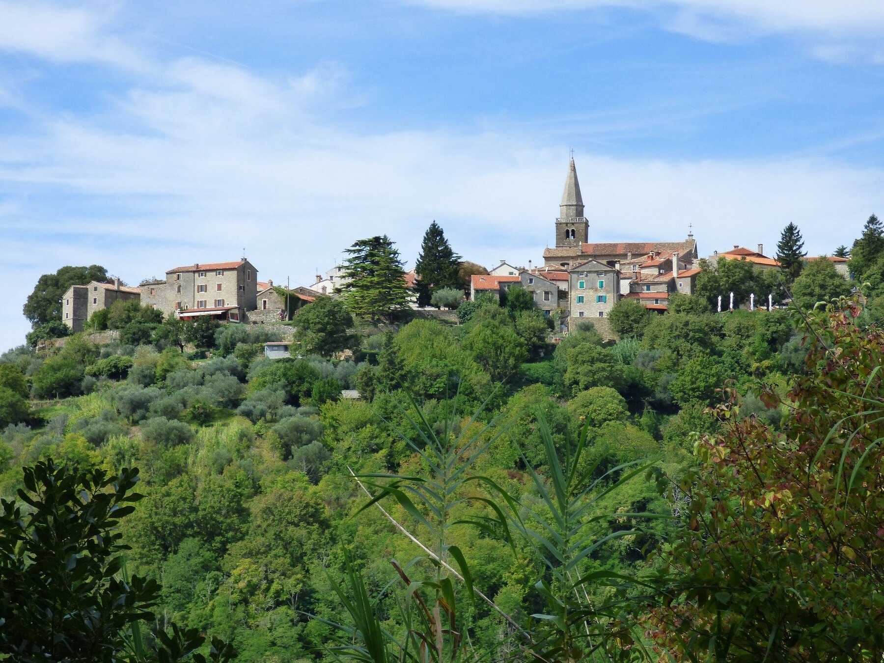 Le village perché de Grožnjan et son clocher au milieu des collines boisées