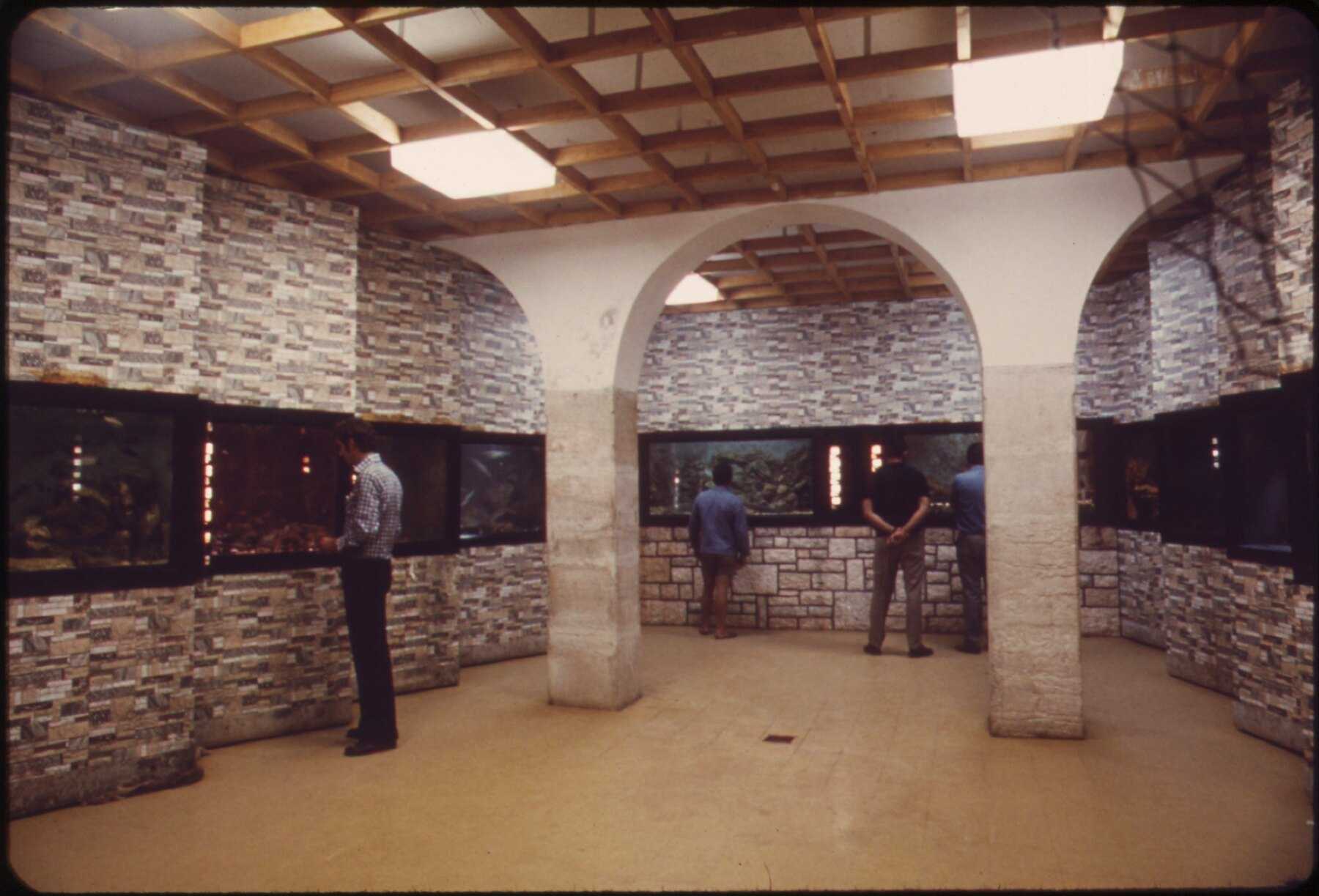 Salle des bassins de l'aquarium de Rovinj, photographie d'archives