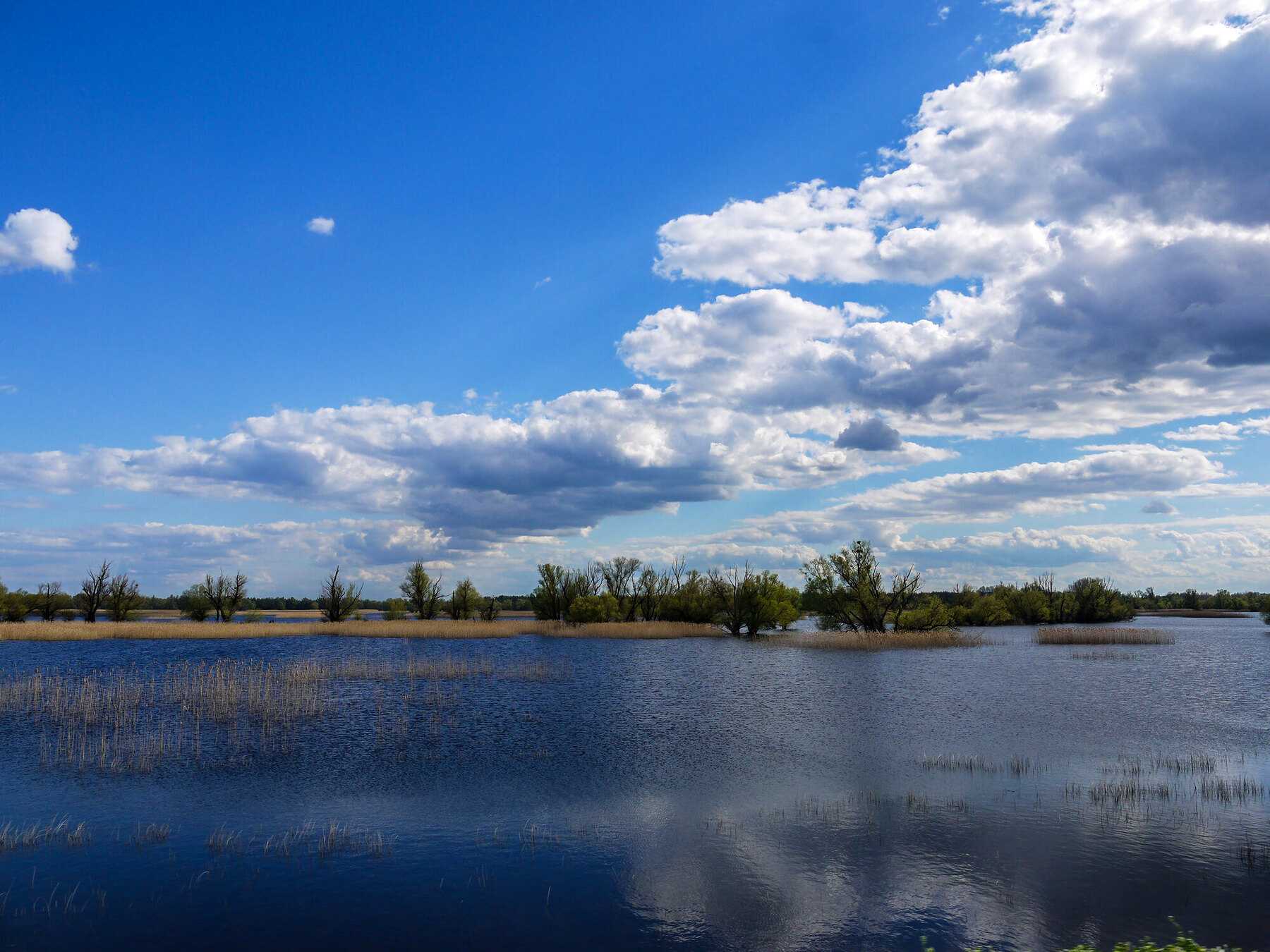 Le ciel se reflète sur les eaux calmes de Kopački rit, au confluent de la Drave et du Danube