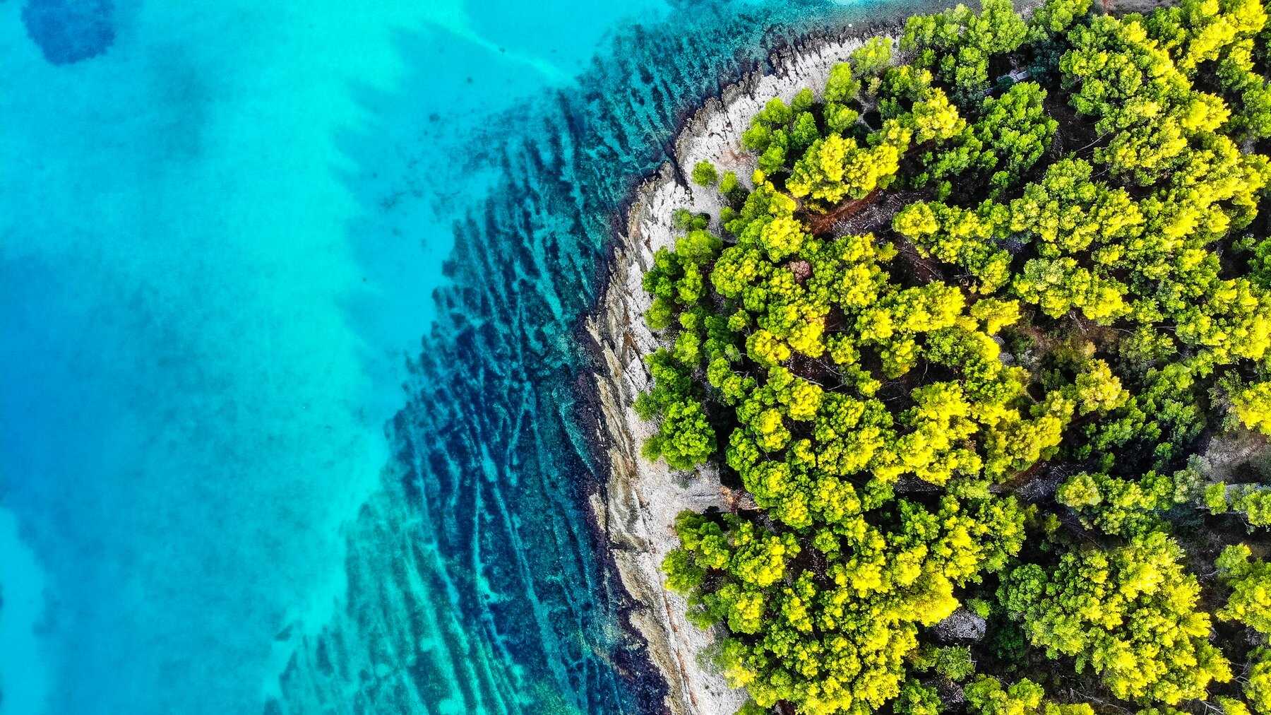 Vue aérienne d'une pointe boisée de Brač bordée d'eau turquoise